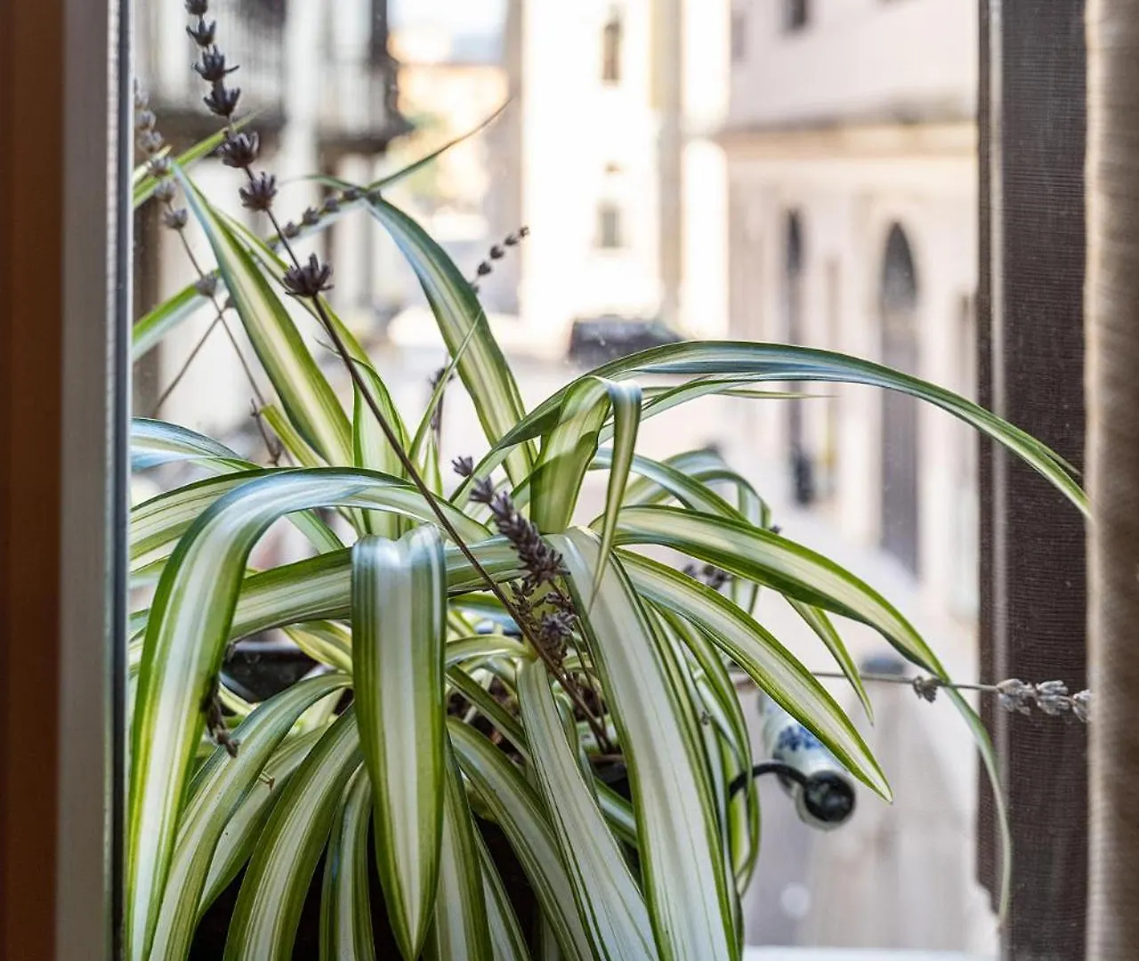 Dependance Cara Giulietta Appartement Verona